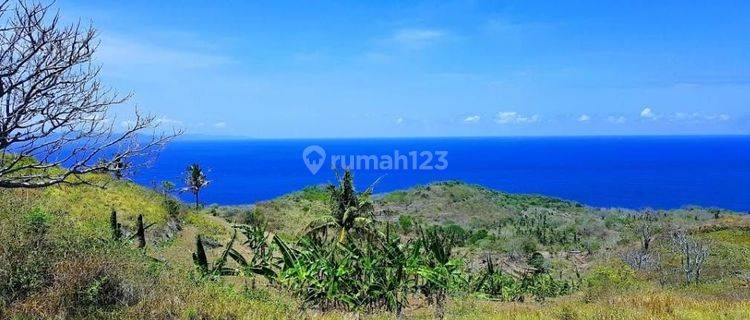 Kavling Bukit Murah Panjaban Nusa Penida View Laut Siap Bangun 10 1