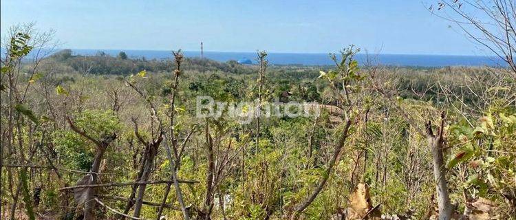 VACANT LAND 2Ha GEROKGAK BULELENG 1