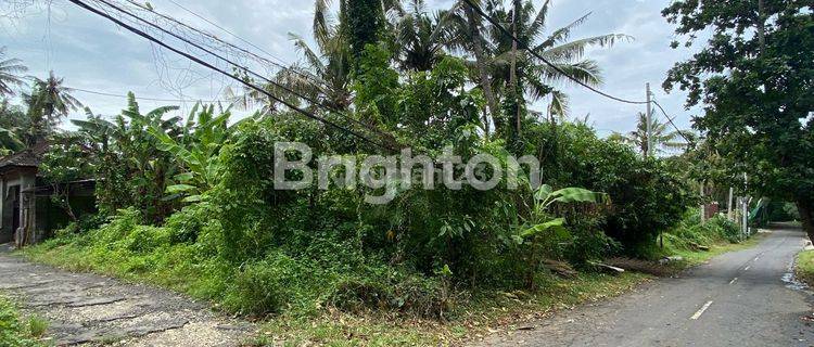 TANAH PANTAI PERING 1