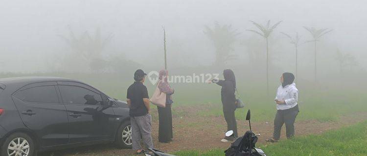 Tanah Cipanas Puncak Bisa bangun Villa Lokasi Dikelilingi wisata 1