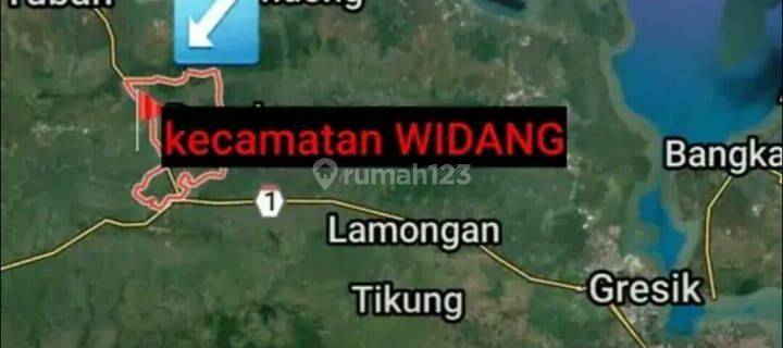 Tanah di widang tuban dkt lamongan 4 hectare untuk invest 1