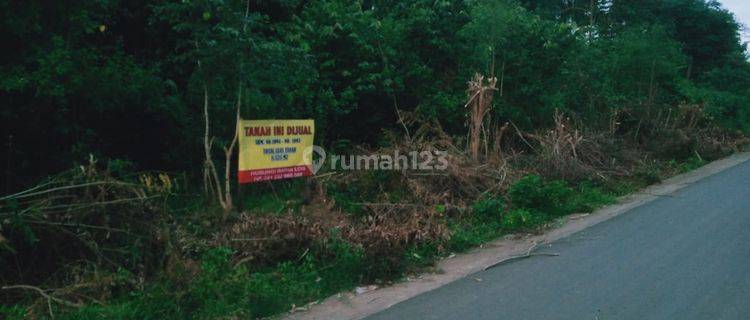 Tanah Luas Lokasi Dekat Labuan Bajo Central Dan Airport 1