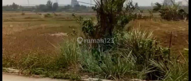 Dijual Lahan Zona Industri (Abu) | 3 Ha | SHM 1