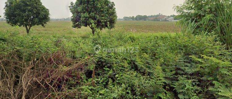 2 LAHAN SHM DI BEKASI 1.2 HA DAN 1.6 HA 1