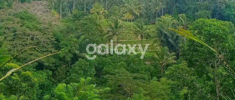 TANAH BANJAR CEBOK KEDISAN TEGALLALANG GIANYAR, BALI 1