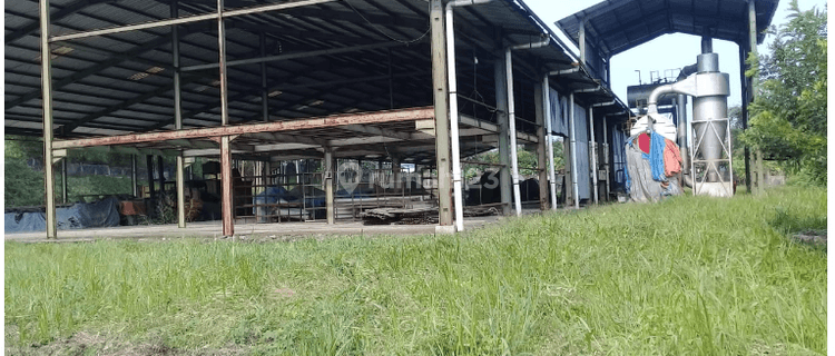 Gudang Plywood Siap Pakai di Sukabumi Jawa Barat 1