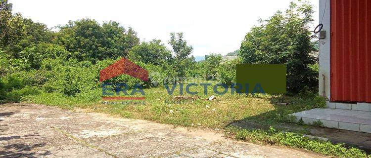 Dijual Tanah Di Ngantru Trenggalek Pusat Kota Trenggalek 1