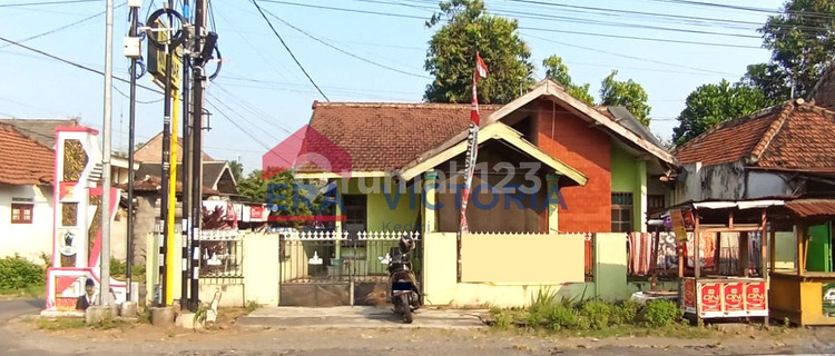 Jual Rumah Bagus SHM Pare, Kediri Bonus Kebun Luas Belakang Rumah 1