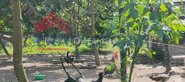 DIJUAL Tanah Dekat Kawasan Makan Bung Karno, Area Ramai Cocok untuk Tempat tinggal, 15 Menit ke Pusat Kota Blitar 1