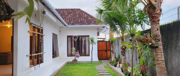 Long Term Sewa with Rice field View In Gunung Patas Kerobokan 1