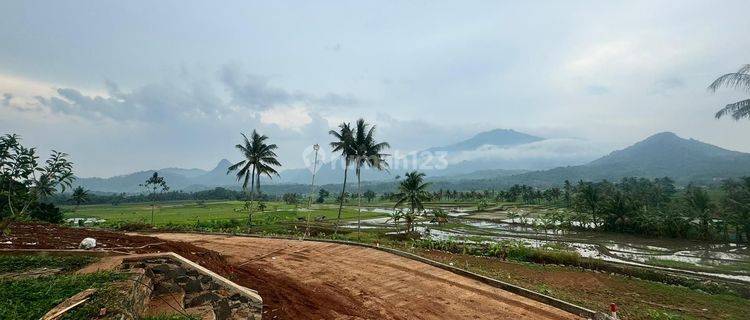 Tanah Murah Pinggir Jalan Provinsi 464 Jutaan Luas 540 Meter 1