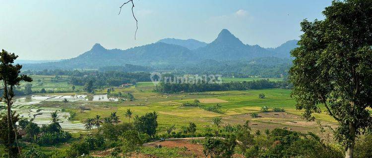 Tanah Kavling Murah Di Nuansa Alam Golden View Bogor  1