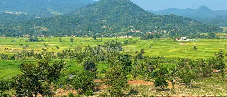 Tanah Mewah Aesthetic Cocok Bangun Villa Dan Rumah Di Jual Murah  1