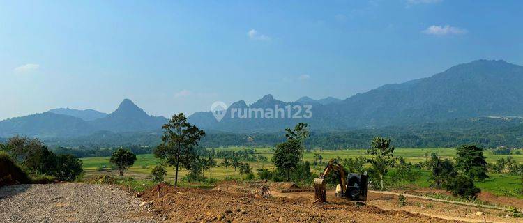 Lagi Bu Tanah Kavling Murah Di Mahar 318 Juta 370 M² Di Bogor 1