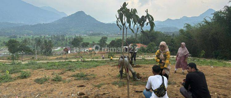 Menakjubkan Ada Tanah Nempel Jalan Provinsi 70 Jutaan 100M² 1