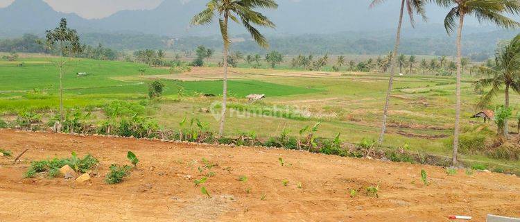 Tanah Nempel Jalan Provinsi Dijual Cepat Lokasi Dekat Jakarta 1