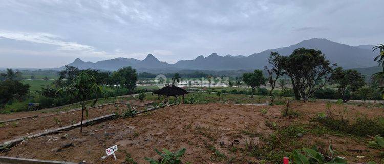 Dijual Tanah Di Bogor Harga Terjangkau 60 Jutaan View Gunung 1