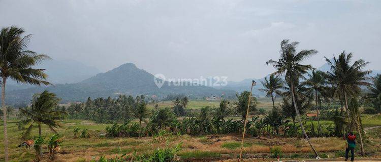 Dijual Cepat Tanah Murah Dengan View 360° Dekat Jakarta Banget 1