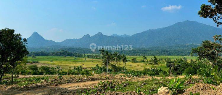 Tanah Mewah Dijual Murah 1000 Meter 860 Juta Golden View  1