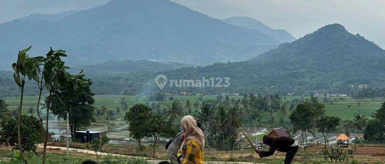 Tanah Murah Di Bogor Luas 531M² Harga 456Juta Ada Sawah, Gunung 1