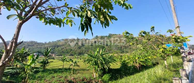 Tanah Di Ungaran Timur Cocok Untuk Usaha 1