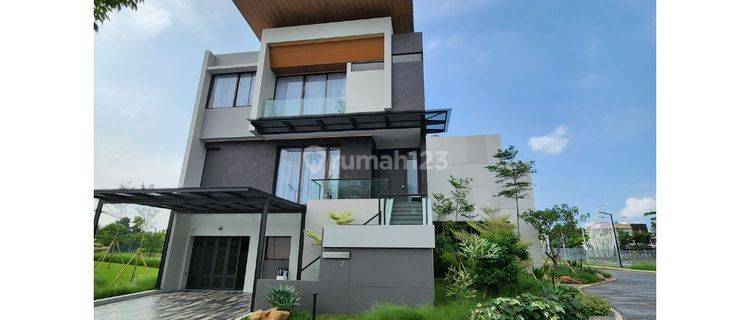 Ardea Heron Dekat Ke Strozzi, Leonora Gold Finch Melody Tangerang 1