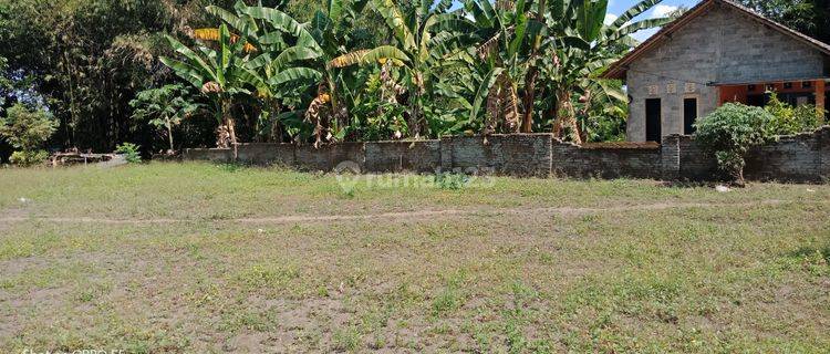 Tanah Murah Klaten Prambanan, Dekat Candi Prambanan, Cocok Hunian 1