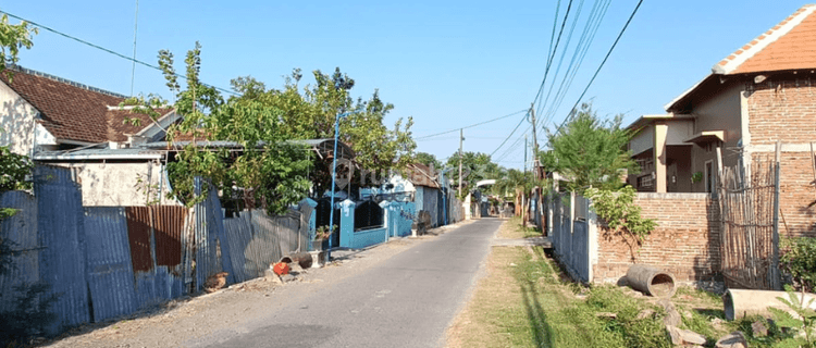 Bu. Tanah Murah Legalitas SHM Pekarangan 4 Menit Pasar Sukolilo  1