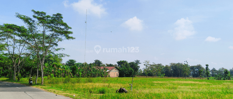 Tanah Murah Madiun 700m Pt Gudang Garam  1