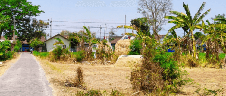 Bu. Tanah Murah Prospek Kost Magetan 5 Menit Lanud Iswahyudi  1