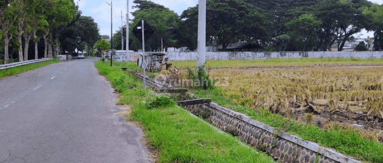 Kavling Murah Madiun 600m Batalyon 501 Bajra Yudha  1