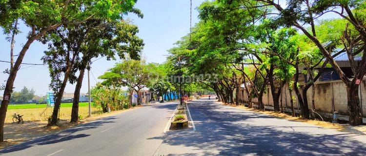 Tanah Murah Kota Madiun 5 Menit Alun alun  1