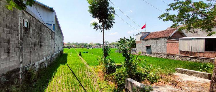 Kavling Murah Prospek Kost Madiun 5 Menit Alun alun  1