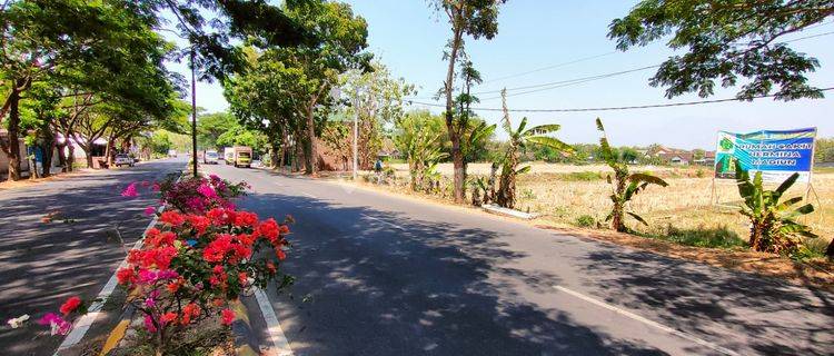 BU. Tanah Murah Madiun 2 Menit Batalyon 501  1