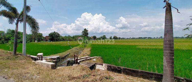 Jual Tanah Murah Hunian Terbaik Madiun Kawasan Industri  1