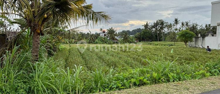 Leasehold Land | Villa Area | in Singapadu Near Ubud 1