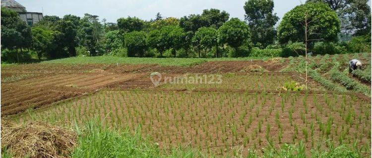 Turun Harga Tanah Murah Di Cisurupan Cibiru 1