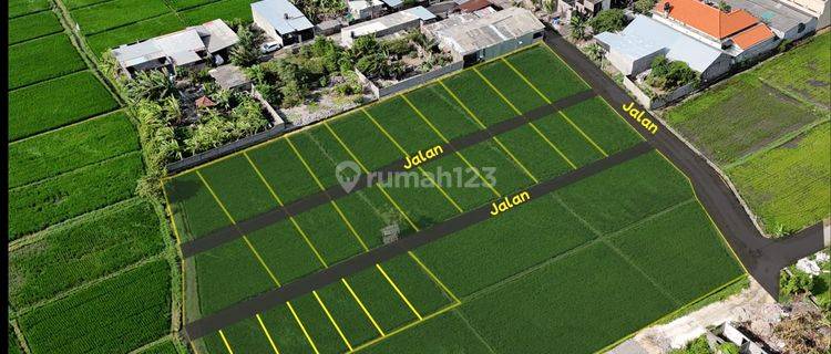 Land for Rent 100 m² Location in the Heart of Denpasar City 1