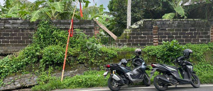 Tanah Murah Pinggir Jalan Aspal Cocok Villa Rental  1