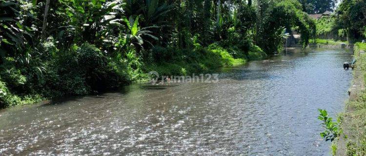 LAND FOR RENT WITH BEAUTIFUL FOREST RIVER VIEW SUITABLE FOR VILLA 1