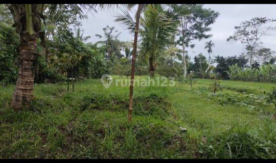 Tanah Murah 75 Jt Per Are View Sawah Hutan Jalan Beton Lingkungan Villa  1