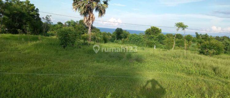 OCEAN VIEW DAN GUNUNG TERMURAH DI TULAMBEN KARANGASEM  1