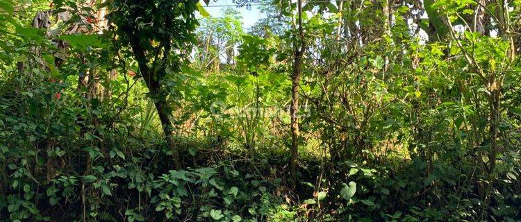 TANAH ZONA KUNING SIAP BANGUN VILLA VIEW SAWAH 1