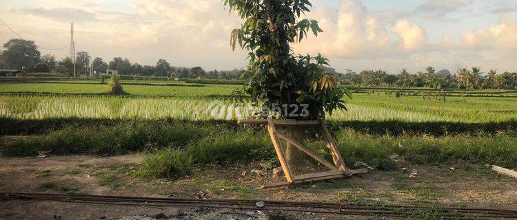 TANAH VIEW SAWAH LINGKUNGAN VILLA DEKAT CENTER UBUD  1