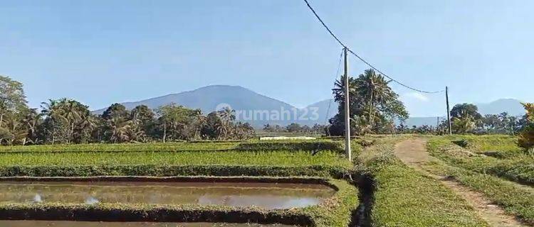 TANAH VIEW KEREN DI PENEBEL HARGANYA MURAH 1