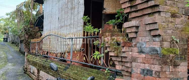 Disewakan Rumah Di Pengosekan Ubud Strategis Dan Bagus 1