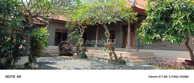 Rumah Sewa Ukuran Besar Cocok Villa Rental  1