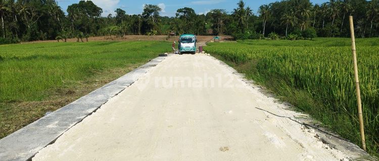 Tanah Dekat Pantai Harga Murah Siap Bangun Villa  1