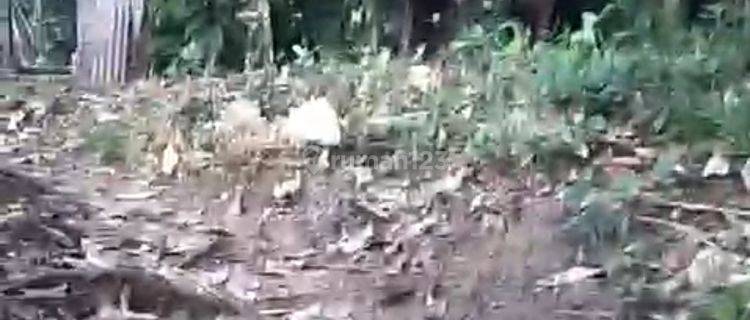Tanah Zona Kuning Super Murah Di Ubud View Hutan 1