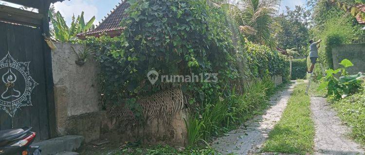 TANAH ZONA KUNING DEKAT CENTRAL UBUD LINGKUNGAN VILLA 1